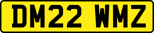 DM22WMZ