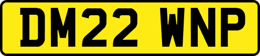 DM22WNP