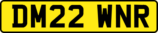 DM22WNR