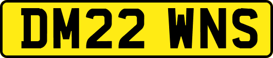 DM22WNS