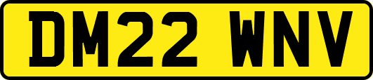 DM22WNV