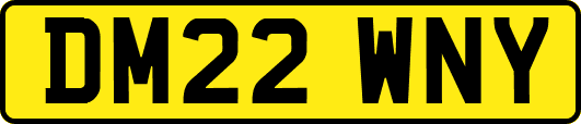 DM22WNY