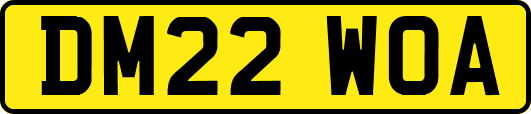 DM22WOA