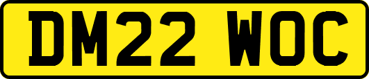DM22WOC