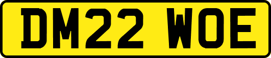 DM22WOE