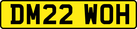 DM22WOH