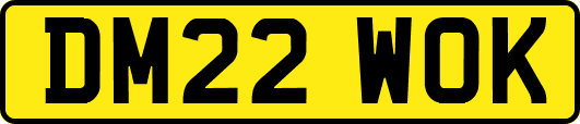 DM22WOK