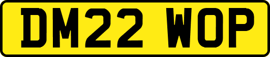 DM22WOP