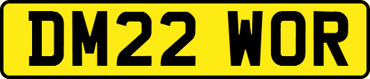 DM22WOR