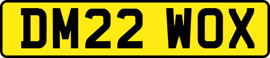 DM22WOX