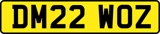 DM22WOZ