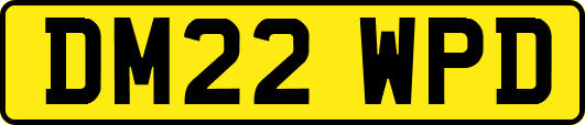 DM22WPD