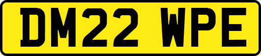 DM22WPE
