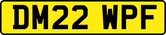 DM22WPF