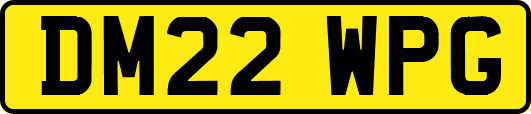 DM22WPG