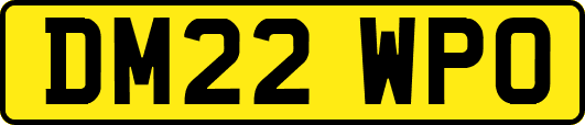DM22WPO