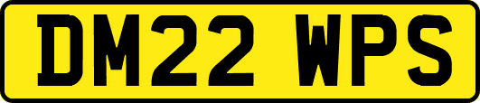 DM22WPS
