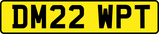 DM22WPT