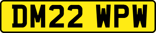 DM22WPW