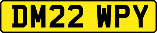DM22WPY