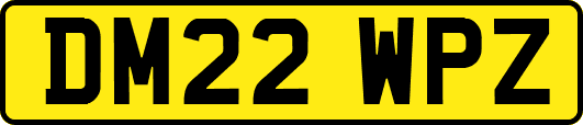 DM22WPZ