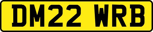 DM22WRB