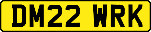DM22WRK