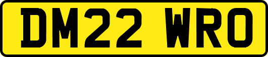 DM22WRO