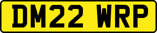 DM22WRP
