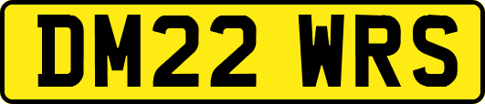 DM22WRS