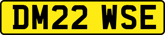 DM22WSE