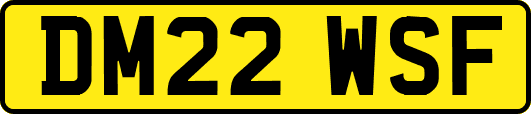 DM22WSF