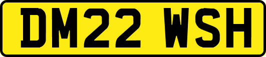DM22WSH