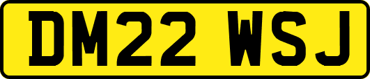 DM22WSJ