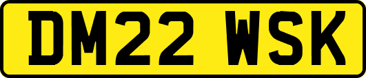 DM22WSK