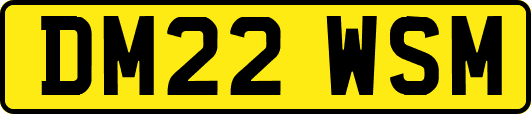DM22WSM