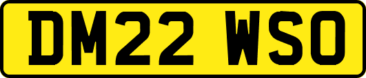 DM22WSO