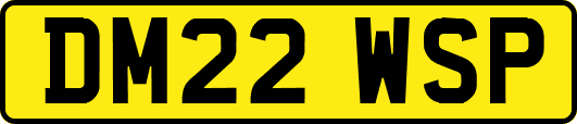 DM22WSP