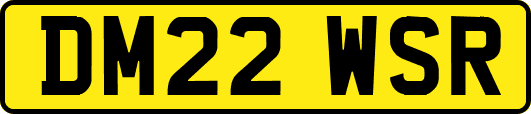 DM22WSR