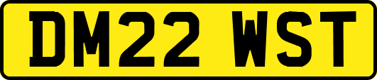 DM22WST