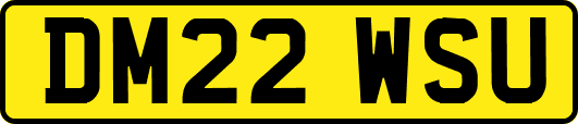 DM22WSU