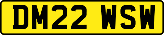 DM22WSW