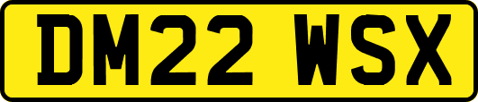 DM22WSX