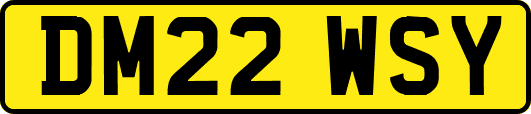 DM22WSY
