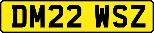 DM22WSZ