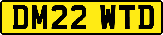DM22WTD