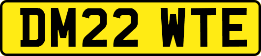DM22WTE