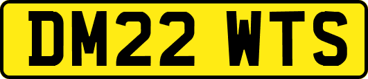 DM22WTS