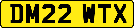 DM22WTX