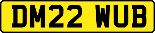 DM22WUB